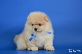 Image result for site:buyreklama.ru/*