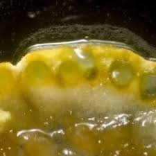 Attēlu rezultāti vaicājumam “Hypocrea pulvinata”