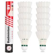 Image result for New Eagles Badminton Club