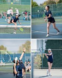 Image result for Crofton Albion Sports & Social Club