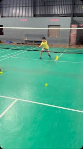 Image result for Raglan Eagles Senior Badminton Club
