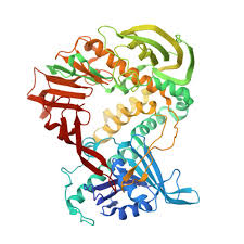 Image result for *PHUfbqhZ