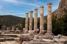 Image result for colonnades