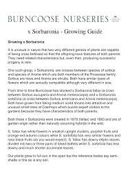 Attēlu rezultāti vaicājumam “x Sorbaronia fallax”