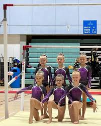 Image result for Kestrel Gymnastic Group