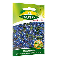 Image result for Männertreu