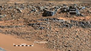 Image result for mars trees