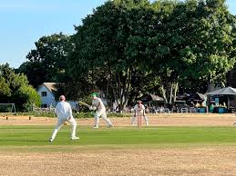 Image result for Wrecclesham Cricket Club