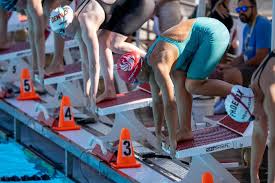 Image result for Elmbridge Phoenix Swimming Club