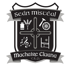 Image result for Lisnaskea Emmetts Gfc