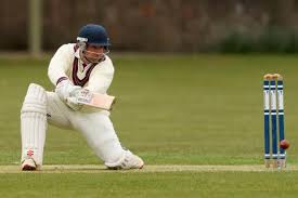 Image result for Havant Cricket Club