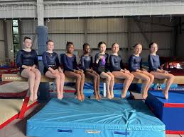 Image result for Huntingdon Olympic Gym Club