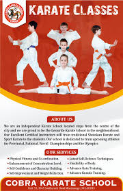 Image result for Cobra Karate Club