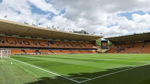 Image result for Molineux Netball Club