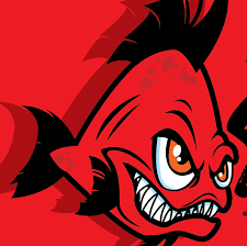 Image result for Abertillery Piranhas Swimming Club