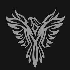 Image result for Launceston Swimming Club, Cornwall