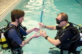 Image result for York University Sub Aqua Club