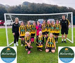 Image result for Sandown Sports Club