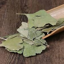 Attēlu rezultāti vaicājumam “Ginkgo biloba leaf”