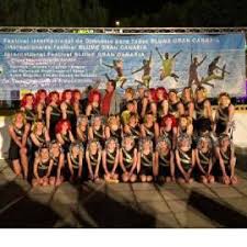 Image result for North Devon Display Gymnastics Club