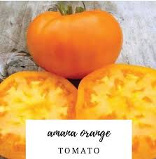 Afbeeldingsresultaat voor amana orange beefsteak tomato