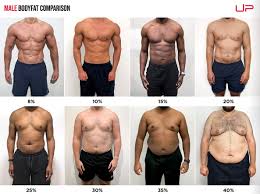 Image result for fat