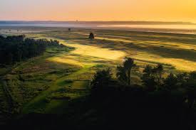 Image result for Prince`s Golf Club