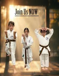 Image result for Sudbury Shotokan Karate Club kugb