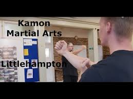 Image result for Kamon Wing Chun