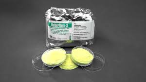 Attēlu rezultāti vaicājumam “Bilimbia tetramera”