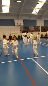 Image result for Dumfries Wado Ryu  Karate club