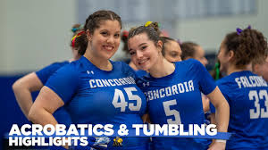 Image result for Concordia Netball Club