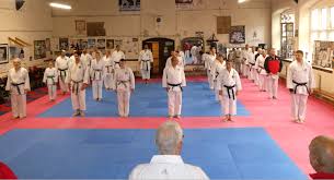 Image result for Bristol Karate Club