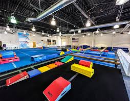 Image result for Goring Gymnastics Club