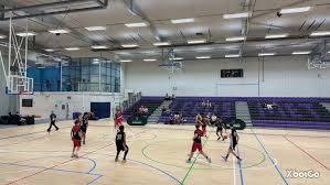 Image result for Spen Valley Vipers