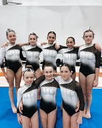 Image result for Valiant Gymnastics Club