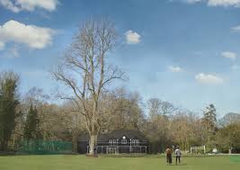 Image result for Buscot Park Cricket Club