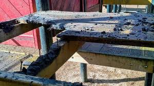 Image result for Ballymena Vandals