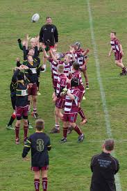 Image result for Newport (Salop) Rugby Union Football Club