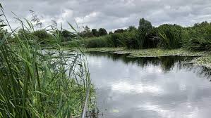 Image result for Taunton Angling Association