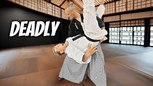 Image result for Ju Jitsu Tavistock