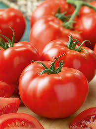 Bildergebnis für tomaten