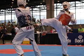 Image result for Taekwondo Athletes Program USA