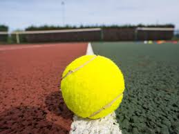 Image result for Alfold Stoolball Club