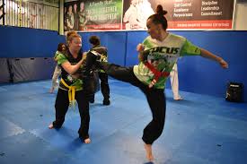 Image result for Martial Art Centre of Excellence