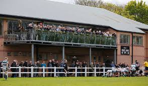 Image result for North Shields Rfc