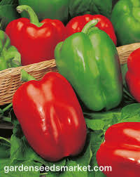 Afbeeldingsresultaat voor yolo wonder sweet pepper