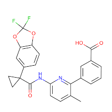 Image result for b%FD%E7ak anatomisi