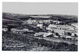 Image result for Trelewis Welfare Bowls Club