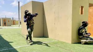 Image result for Blitz Paintball